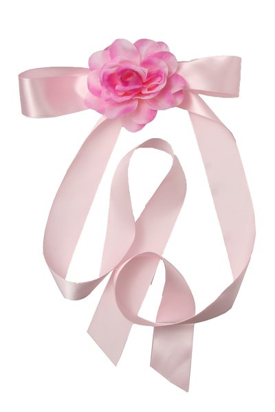 Pink Ribbon and rose sash